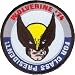 Search : Marvel Comics X-Men Wolverine For President Embroidered Iron On Patch P3359