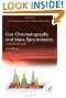 Gas Chromatography and Mass Spectrometry: A Practical Guide, Second Edition