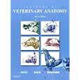 Textbook of Veterinary Anatomy