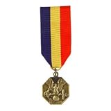U.S. Navy & Marine Corps Mini Medal
