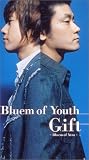 Bluem of Youth - Gift: Bluem of Xtra