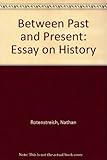 Between past and present : an essay on history