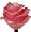 Moonrays 91405 Solar Powered Flower Light, Pink Rose Fixture