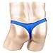 FFESHOW Men's Smooth Bikini Pouch Underwear G String Thongs (Blue)