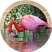 THIRSTYSTONE COASTERS IN THE WILD - FLAMINGO
