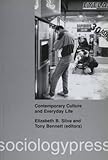 Contemporary culture and everyday life