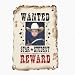 Steckbrief für Cowboy und Indianer, Wilder Westen 12 Stück Wanted