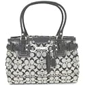 AUTHENTIC COACH HAMPTONS SIGNATURE CARRYALL 13065 (BW/Black)