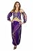 Dreiteiliges Bauchtanzkostüm Haremsdame Orient Faschingskostüm, Free Size (S bis XL) lila-gold