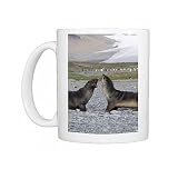 Fur seals and king penguins, St. Andrews Bay, South Georgia, South Atlantic Photo Mugs
