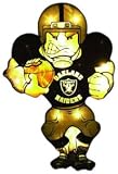 Oakland Raiders Double Sided Car Window Light Up Player