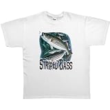 41hZCb9YGfL. SL160 photo 41hZCb9YGfL. SL160 MENS T SHIRT : SAND XX LARGE Striped Bass Fishing