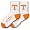 Tennessee Volunteers