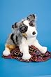 AUSTRALIAN SHEPHERD DOG DRIVER PLUSH TOY 16"