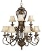 Dolan Designs 727-37 Tucson Chandelier