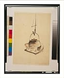 Historic Print (L): [Badger tea-kettle]