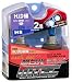 MTEC 2X Super White H8 Bulbs (Stock Wattage)