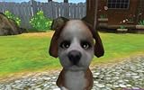 Puppy Luv Adventures (PC CD)
