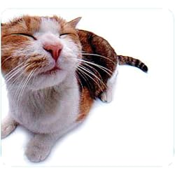Pet Me Cat Mouse Pad