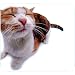 Pet Me Cat Mouse Pad