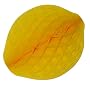 Tissue Paper Fruits and Vegetables