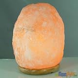 NEW Himalayan Rock Salt Lamp 14~17 Lbs
