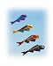 Blue Giant Flying Fish