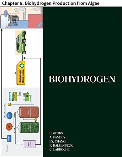 Biohydrogen: Chapter 8. Biohydrogen Production from Algae