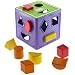 Playskool Busy Basics Form Fitter (Colors May Vary)