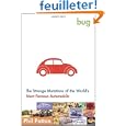 vw beach buggy Bug: The vw beach buggy Bug: The