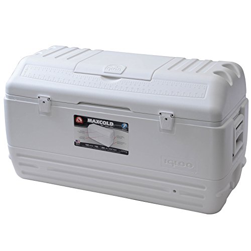 165 igloo cooler