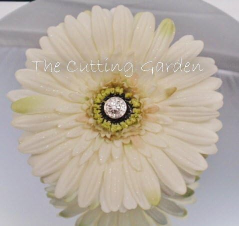 TCG Floral White Corsage Bracelet and Boutonniere Special Occasion Set (Silk Flowers)