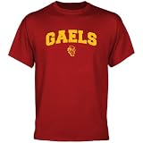 NCAA Iona College Gaels Cardinal Logo Arch T-shirt