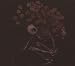Tenhi-Folk Aesthetic 1996-2000