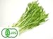 シャキシャキ♪奈良県産 有機栽培【水菜】約150g（袋入り）