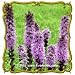 Marsh Blazing Star (Liatris spicata) Jumbo Wildflower Seed Packet (400) Marsh Blazing Star (Liatris spicata) Jumbo Wildflower Seed Packet (400)