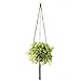 Wildwood MK-42DB 3 Leg Macrame Plant Holders, Dark Brown, 42-Inch