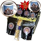 Lee Hiller Photography Washington DC - Cherry Blossoms on the Mall - Coffee Gift Baskets - Coffee Gift Basket