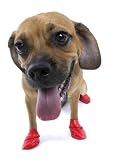 Dog Boots Pawz Set of 12 XXSmall