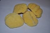 Natural Silk Sponge for Baby, Bath, or Body Make Up 41hbRaE5C9L. SL160 Natural Silk Sponge for Baby, Bath, or Body Make Up
