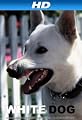 White Dog