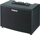 Roland AC - 90 Acoustic Chorus Guitar Amplifier - B000WA1KSY