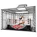 WWE
Offical
Scale
Ring
The
Cell