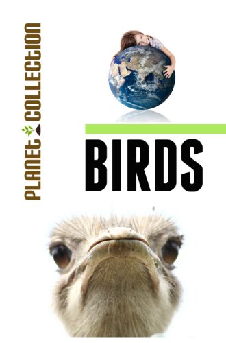 Birds: Picture Book (Educational Children's Books Collection) (Planet Collection)