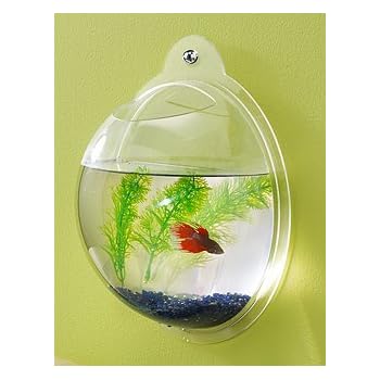 Set A Shopping Price Drop Alert For Wall Mount Fish Bowl Aquarium Tank Beta Goldfish