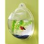 Acrylic Wall Mount Mounted Fish Bowl Fishbowl Resin Unique Clear Art
