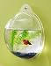 Wall Mount Fish Bowl Aquarium Tank Beta Goldfish 41hcaTgJV3L. SL75 Trolling for Striped Bass with the Penn 113HSP