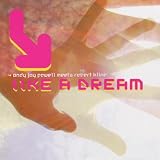 Like a dream (Andy Jay Powell Mix/Rmb Remix/Robert Kline Mix, 2002, meets Robert Kline) [VINYL]