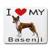 I Love My Basenji Dog