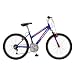 Pacific - 24" Girl's Traverse Mountain Bike
